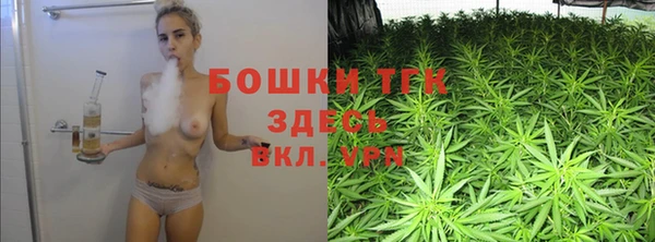 PSILOCYBIN Елабуга